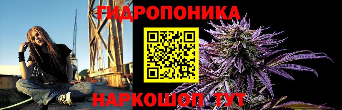 МАРИХУАНА Bruce Banner  Вход с VPN  МАРИХУАНА AK-47  Гатчина  Шишки марихуана White Widow 